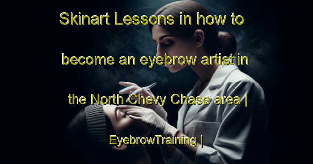 Skinart Lessons in how to become an eyebrow artist in the North Chevy Chase area | EyebrowTraining | EyebrowClasses | SkinartTraining-United States